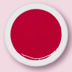 GEL COLOR 24 (5ml)